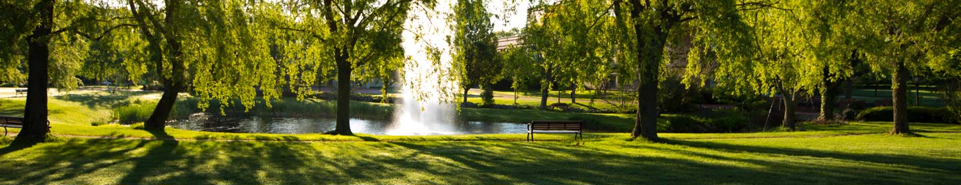 Bryant water fountain in spring