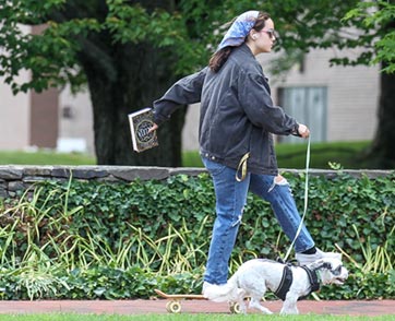 A student on a skateboard walks her dog.