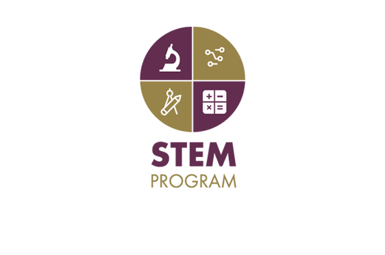 stem-designated-program