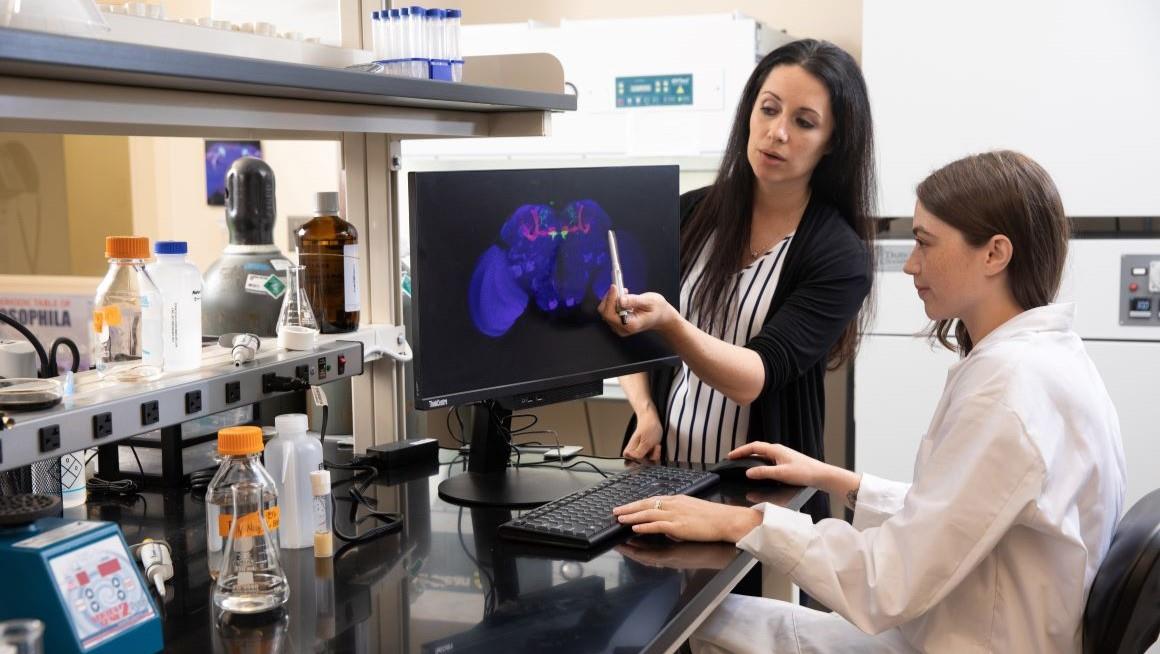 Professor Kristin Scaplen works with a student in the laboratory. 