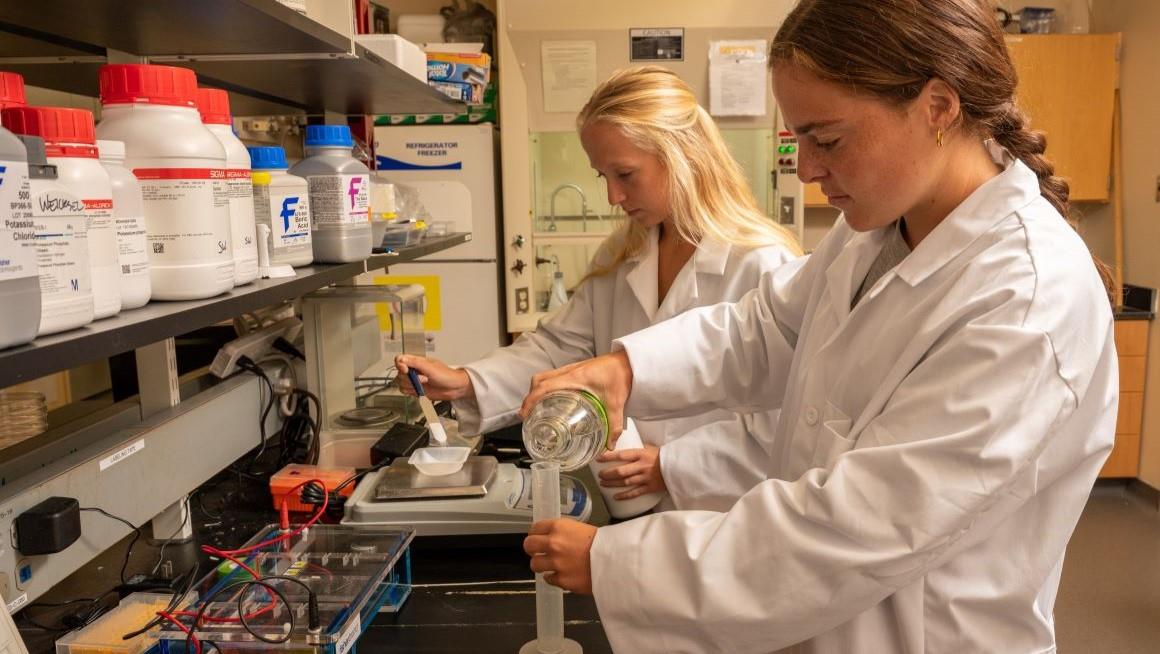 Students conduct research in one of Bryant's laboratories. 