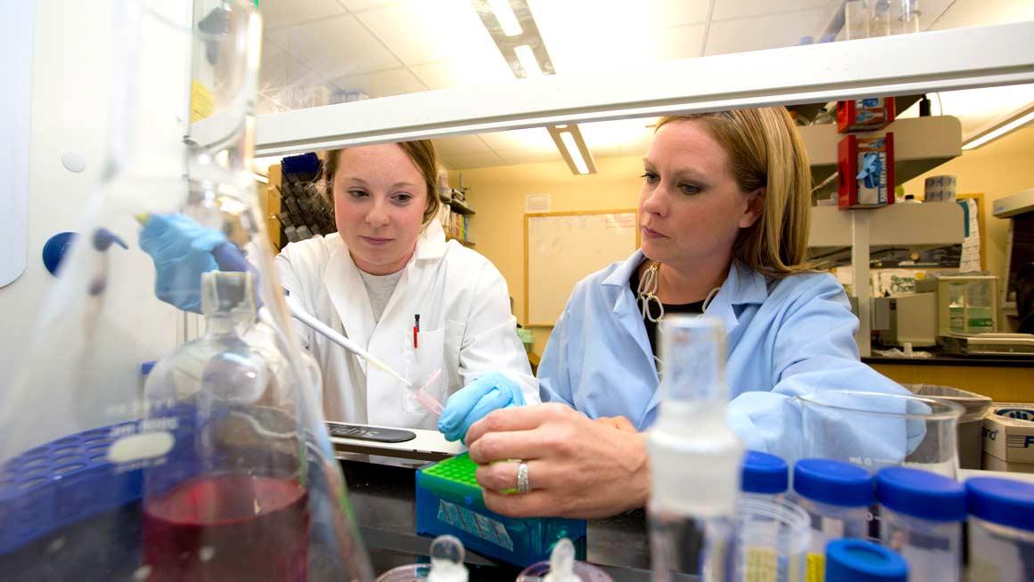 Professor Kirsten Hokeness works with a student in the lab. 