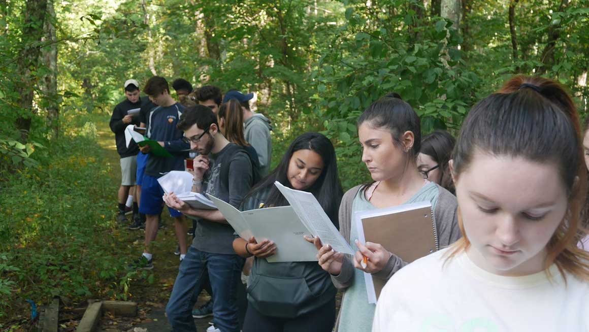 A group of Bryant University students gather in the woods for an environmental class.