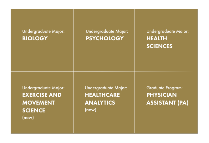 Grid of majors in the School of Health and Behavioral Sciences